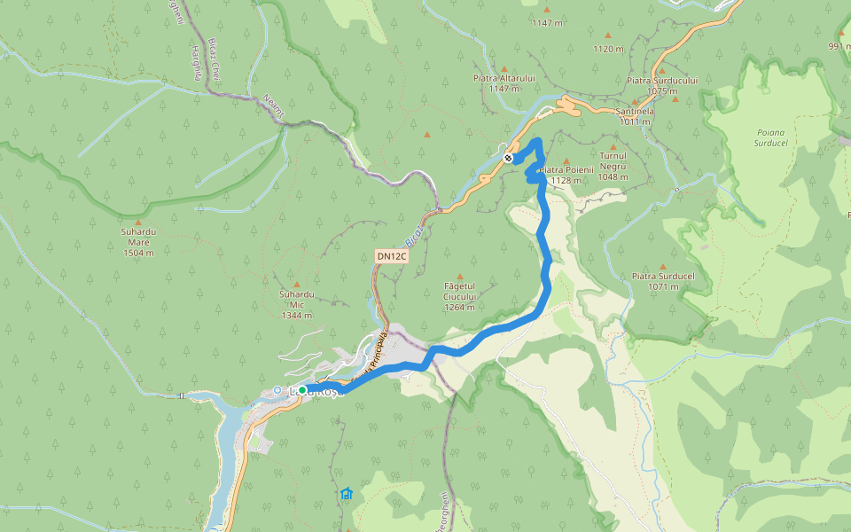 Lacu Roșu – Șaua Țifrea – Cheile Bicazului (yellow triangle) walking route map in Lacu Roșu