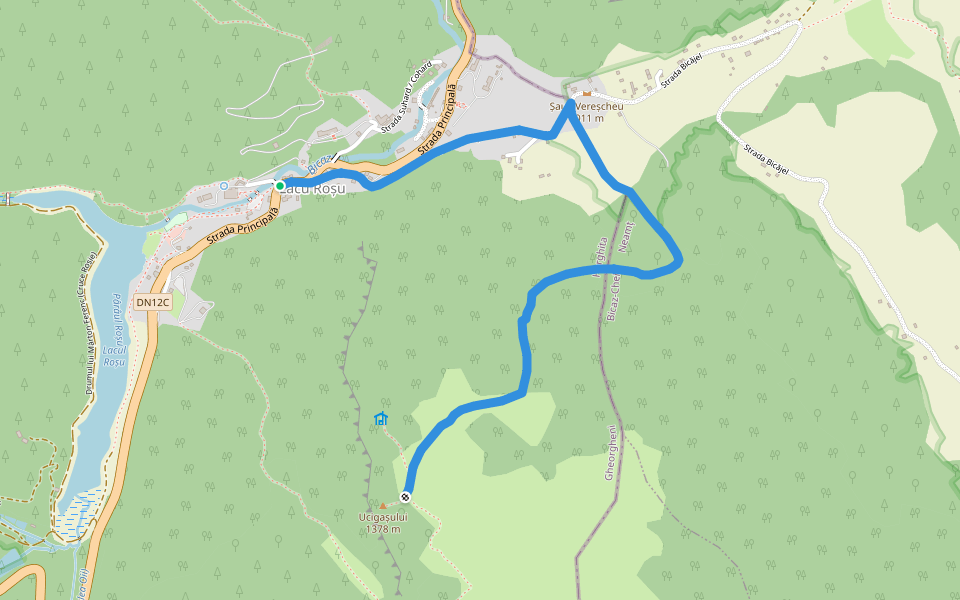 Lacu Roșu – Belvedere Piatra Ghilcoș (red triangle) walking route map in Lacu Roșu