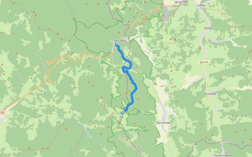 Lacu Roșu – Culmea lui Paleu – sub Poiana Albă (blue dot) walking route map in Lacu Roșu