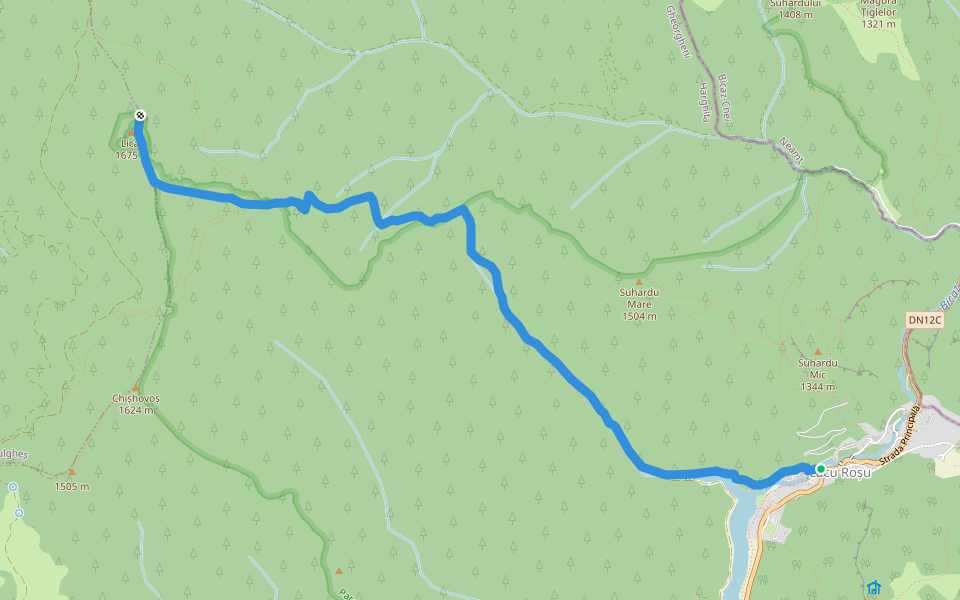 Lacul Roșu - Avenul Licaș walking route map in Lacu Roșu