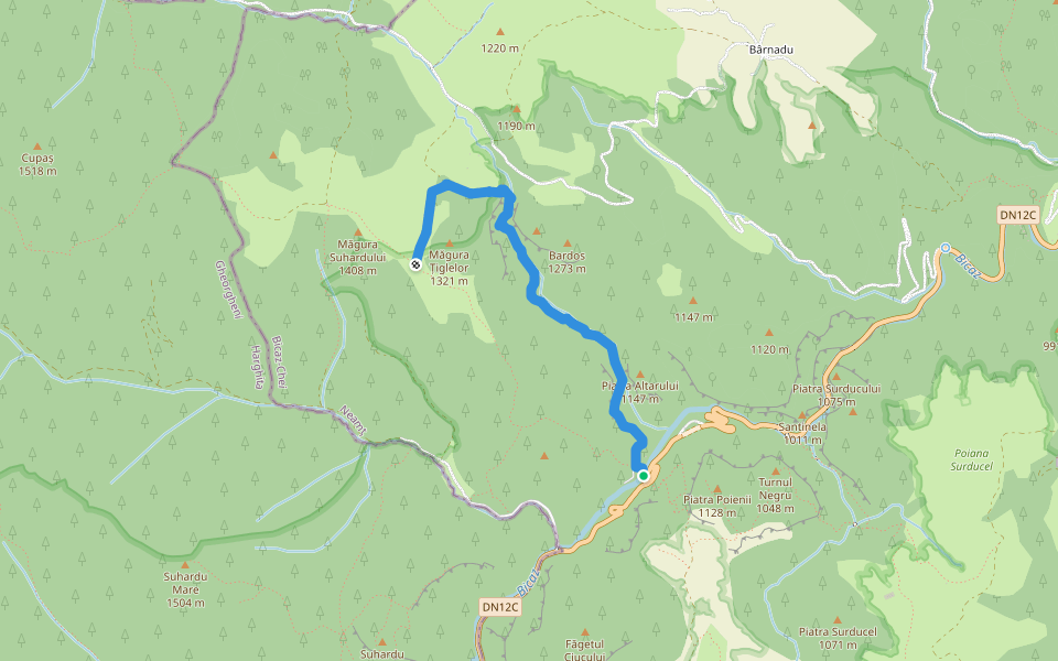 Cheile Bicazului - Șaua Cupaș walking route map in Bârnadu