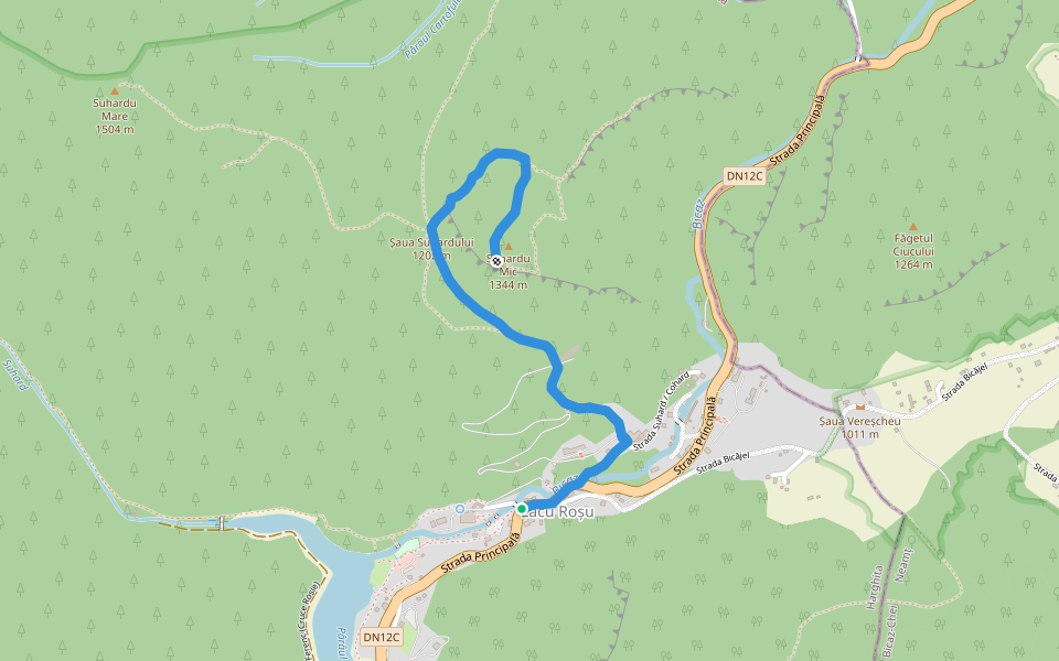 Lacu Roșu – Vf. Suhardul Mic (blue triangle) walking route map in Lacu Roșu