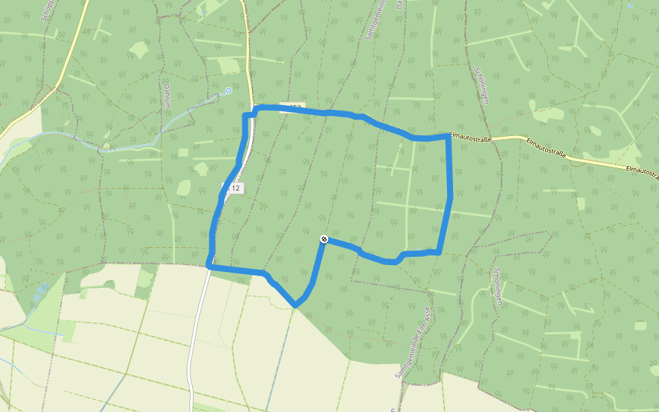 Elm Rundwanderweg 8 walking route map in Dahlum
