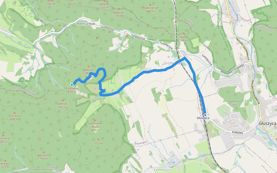 Zamek Rogowiec - Głuszyca PKP walking route map in Grzmiąca