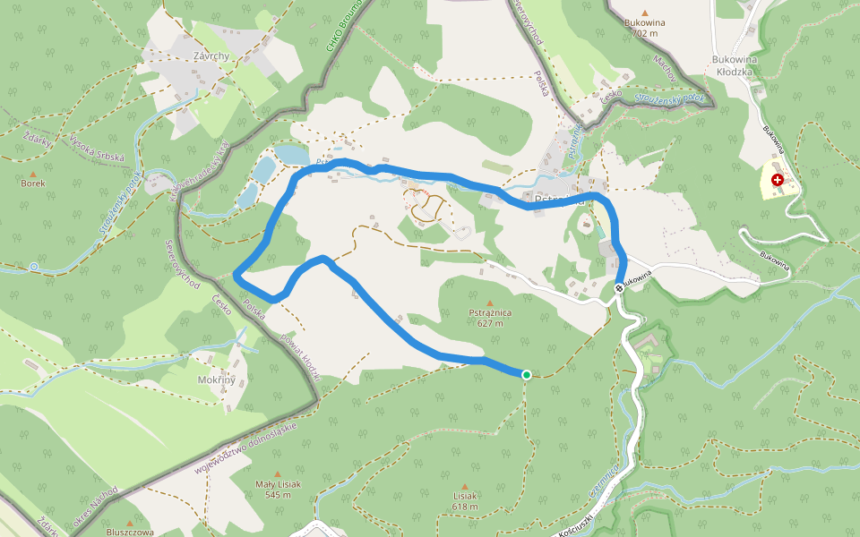 Pstrążna - Pstrążna-las walking route map in Kudowa-Zdrój
