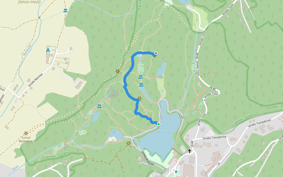 Lacul Ursu - Dealul Rotund walking route map in Sovata