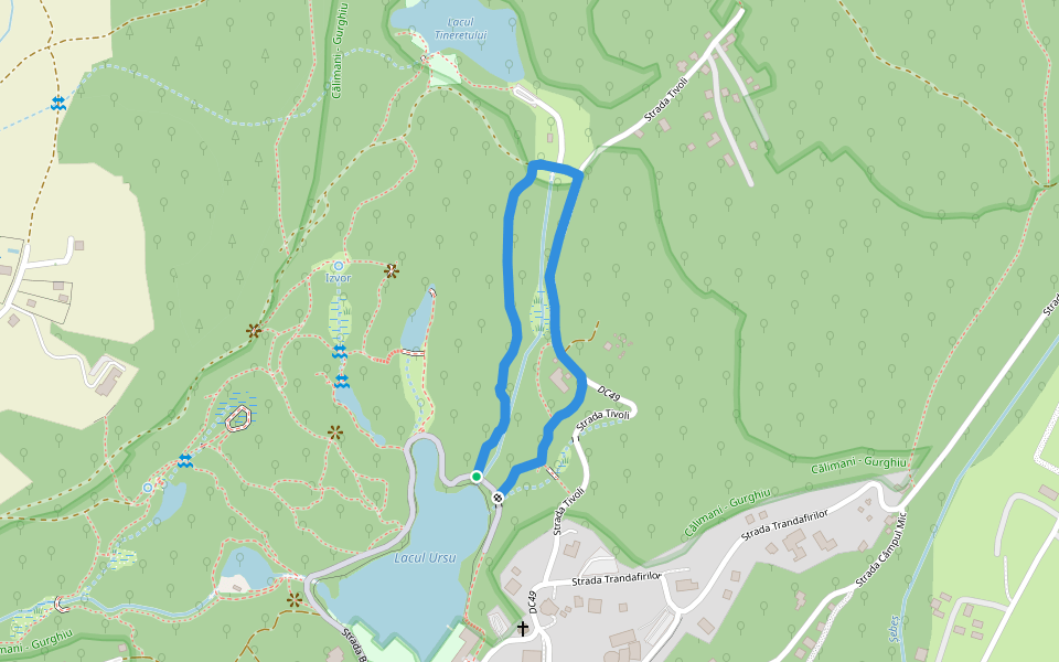 Sovata (Tivoli) - Lacul Ursu walking route map in Sovata