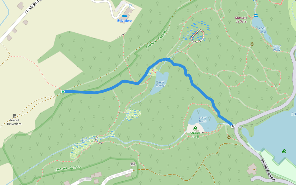 Lacul Mierlei - Lacul Aluniș walking route map in Sovata