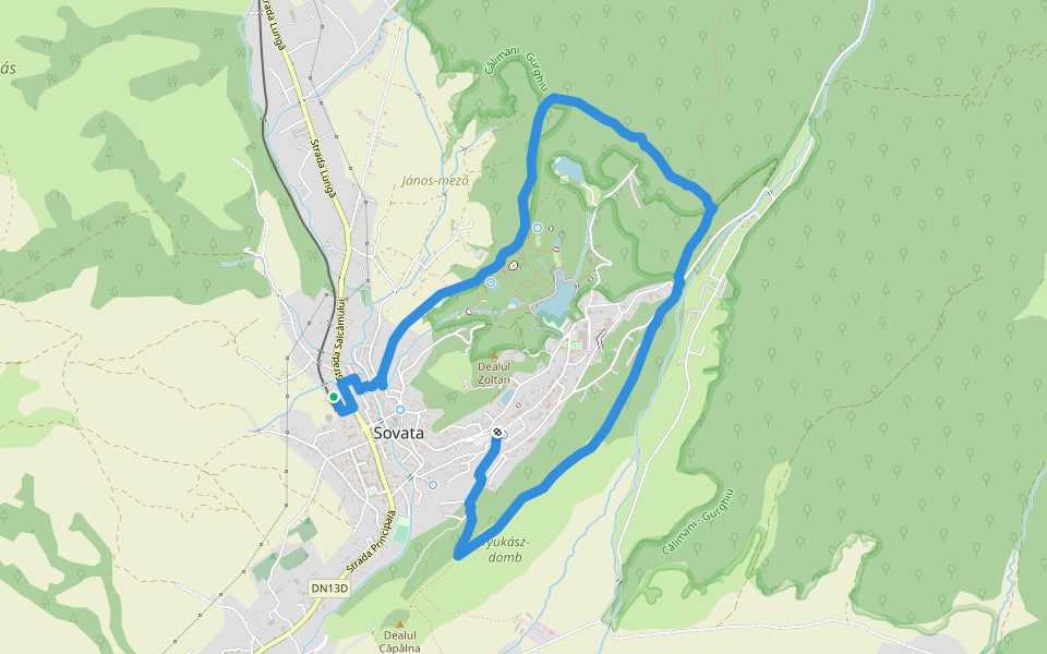 Sovata (Gara Mică) - Creasta Stejarului - Sovata (Centru) walking route map in Sovata