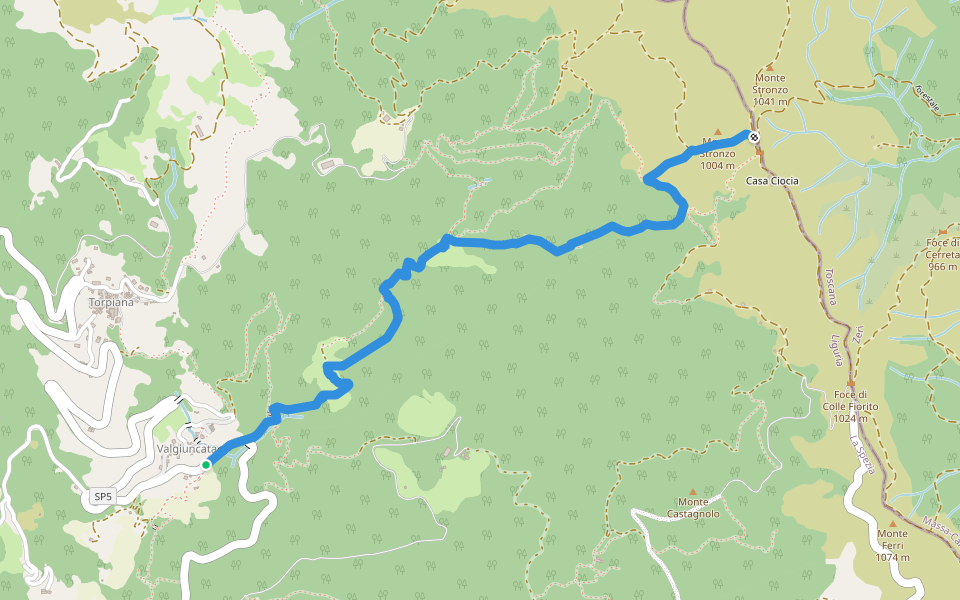 Valgiuncata - Casa la Foce - Serra Maggiore - Monte Stronzo (Bivio AVML) walking route map in Valgiuncata
