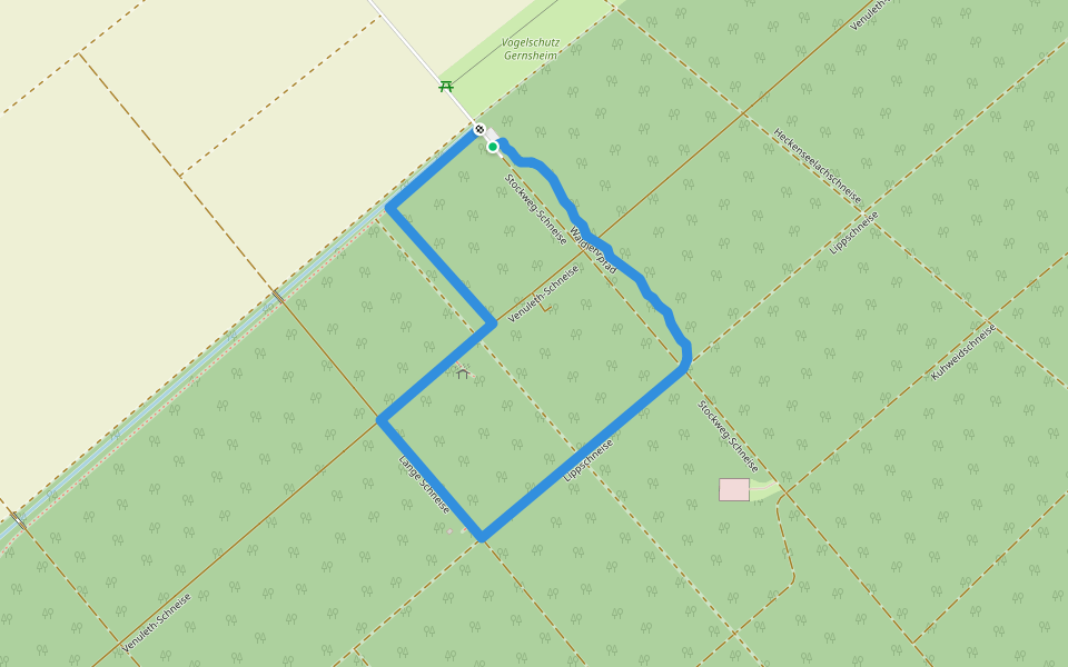 Waldlehrpfad walking route map in Gernsheim