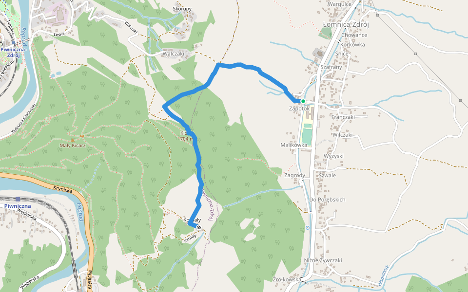 Łomnica Zdrój-Kicarz- Piwniczna walking route map in Łomnica-Zdrój