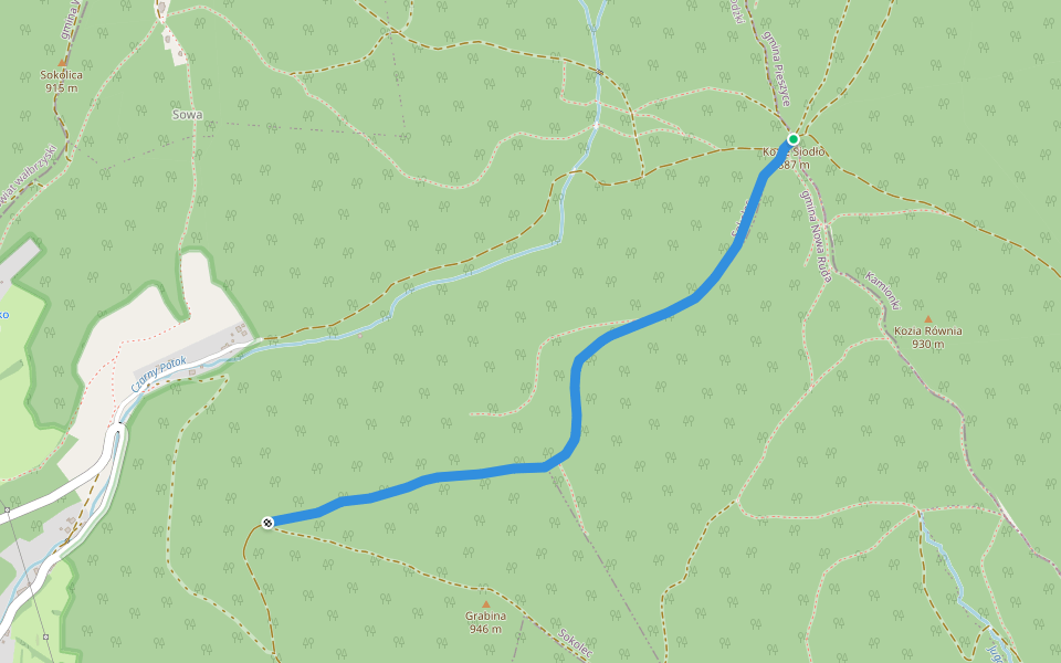 Kozie Siodło - Lisie Skały walking route map in Pieszyce