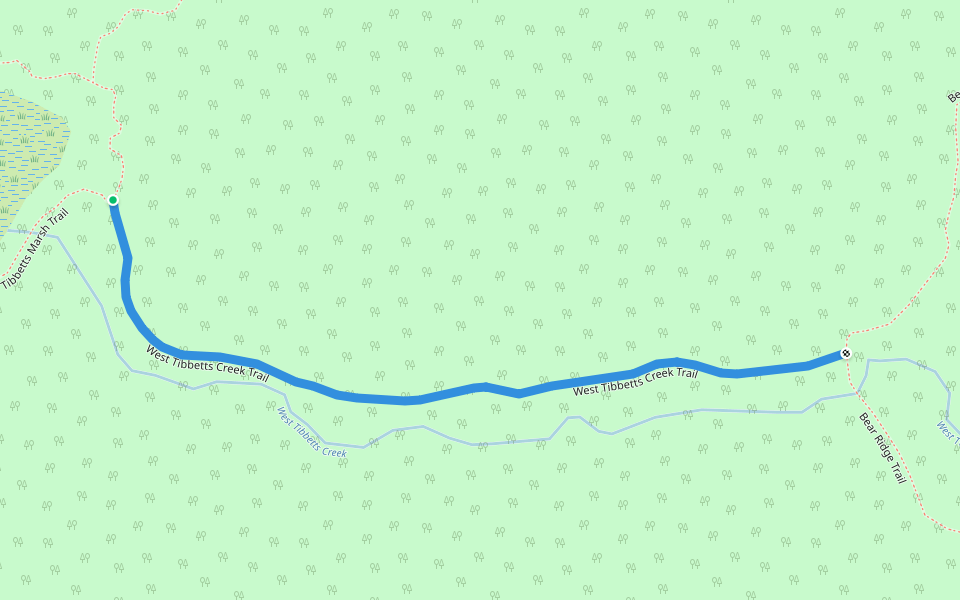 West Tibbett's Creek Trail