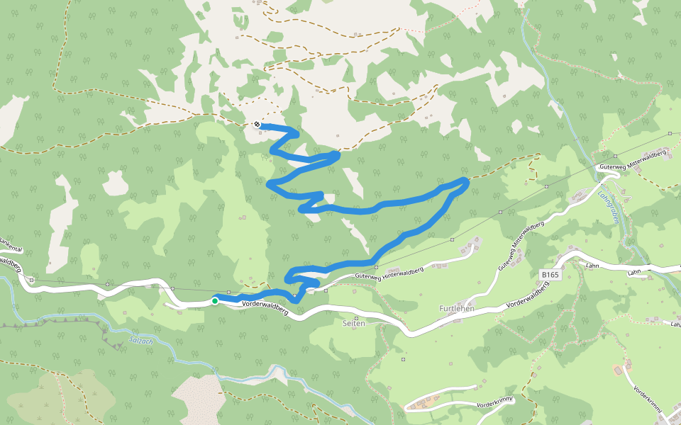 Wanderweg 731 - Oberpinzgau walking route map in Hinterwaldberg