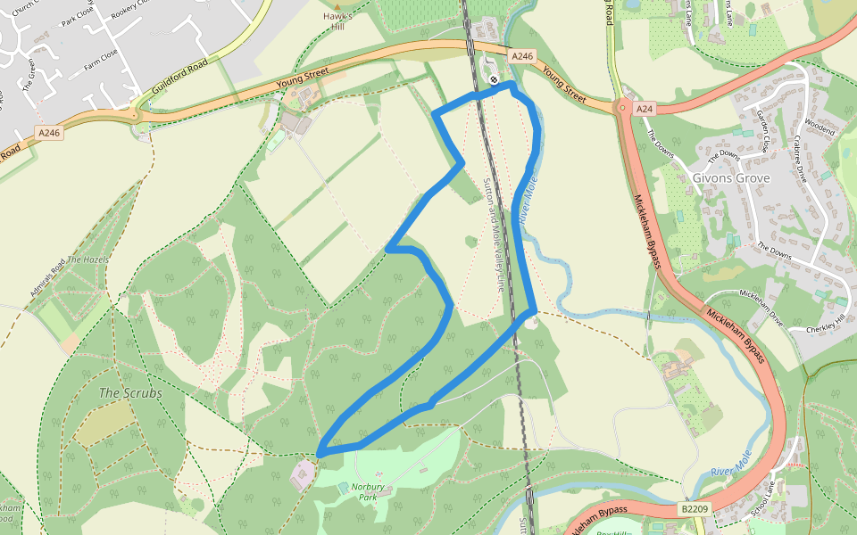 Norbury Park walk (SCC) walking route map in Fetcham
