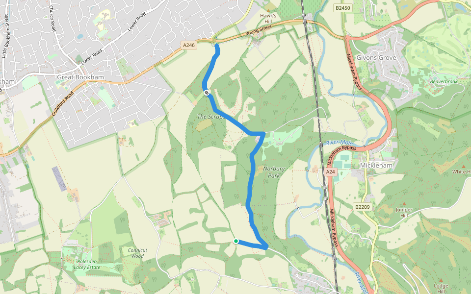 Norbury Park Off Road Cycle & Walk (SCC) walking route map in Westhumble