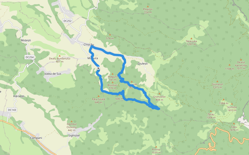 Circuitul Peșterii Urșilor walking route map in Măgura