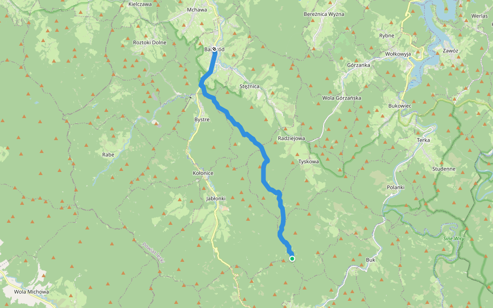 Baligród - Łopiennik walking route map in Łopienka