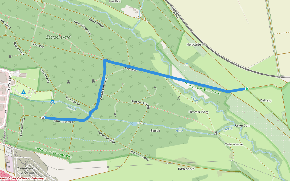 Plieningen(Silberlinde) - Zettach-Eiche