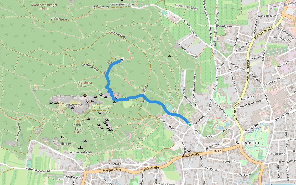 Bad Vöslau - Roverhütte -Harzberg walking route map in Bad Vöslau