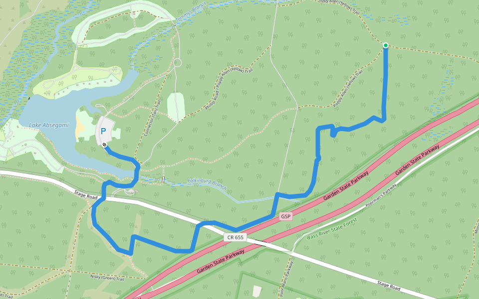 Falkinburg (Purple) Trail walking route map in Tuckerton