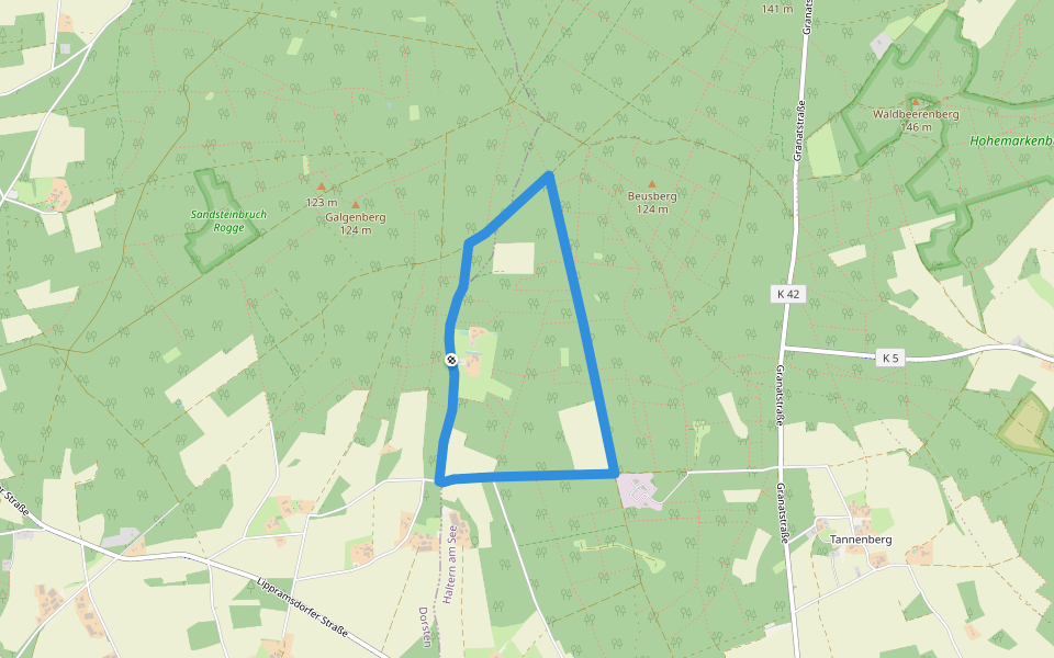 Napoleonsbuche Rundweg A2 walking route map in Haltern am See
