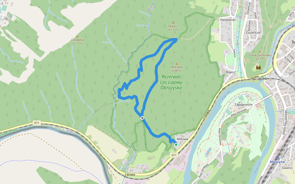Ścieżka przyrodnicza "Las Lipowy Orbożyska" walking route map in Muszyna