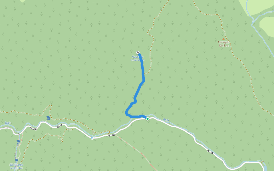 Deviație spre cascada Miss walking route map in Budureasa