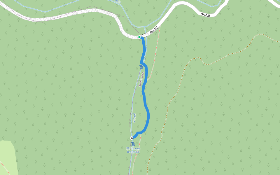 Deviație spre cascada Săritoarea Ieduțului walking route map in Budureasa