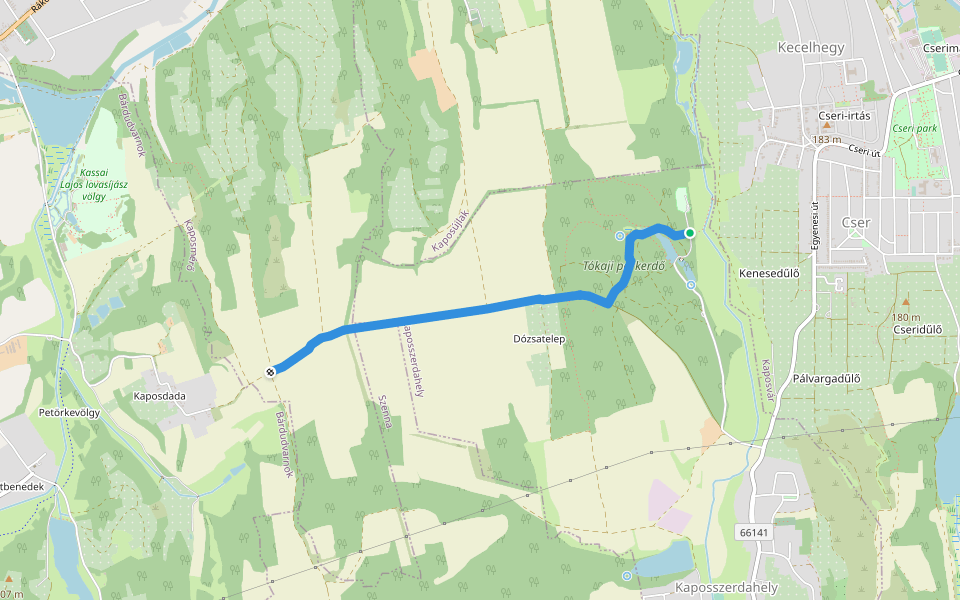 K▲ (Tókaji parkerdő) walking route map in Kaposvár