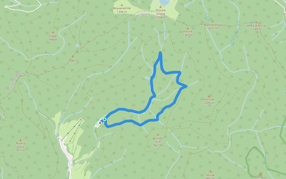 [Z] Lesní ekostezka Švagrov walking route map in Vernířovice
