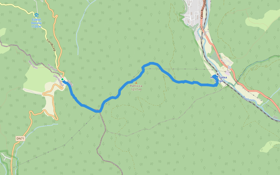 Gara Valea Larga - Vf. Pietricica - Poiana Pietricica - Popasul "Cota 1000" walking route map in Sinaia