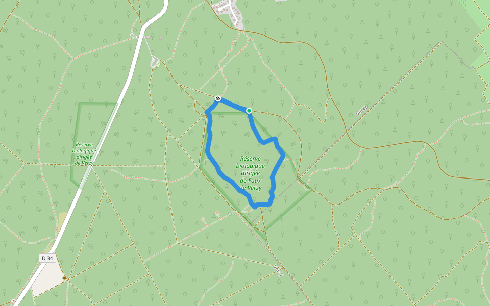 Balade des Faux walking route map in Verzy