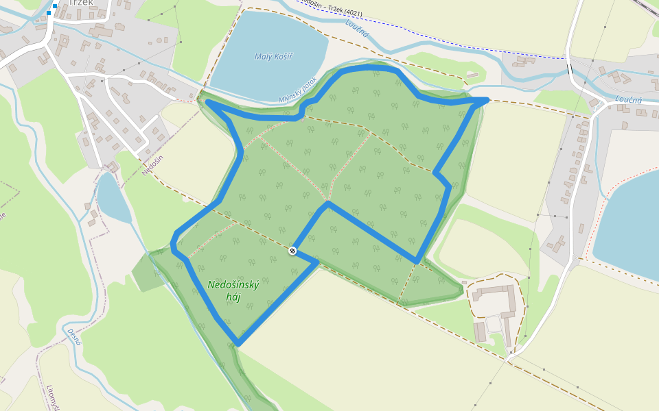 NS Nedošínský háj walking route map in Litomysl