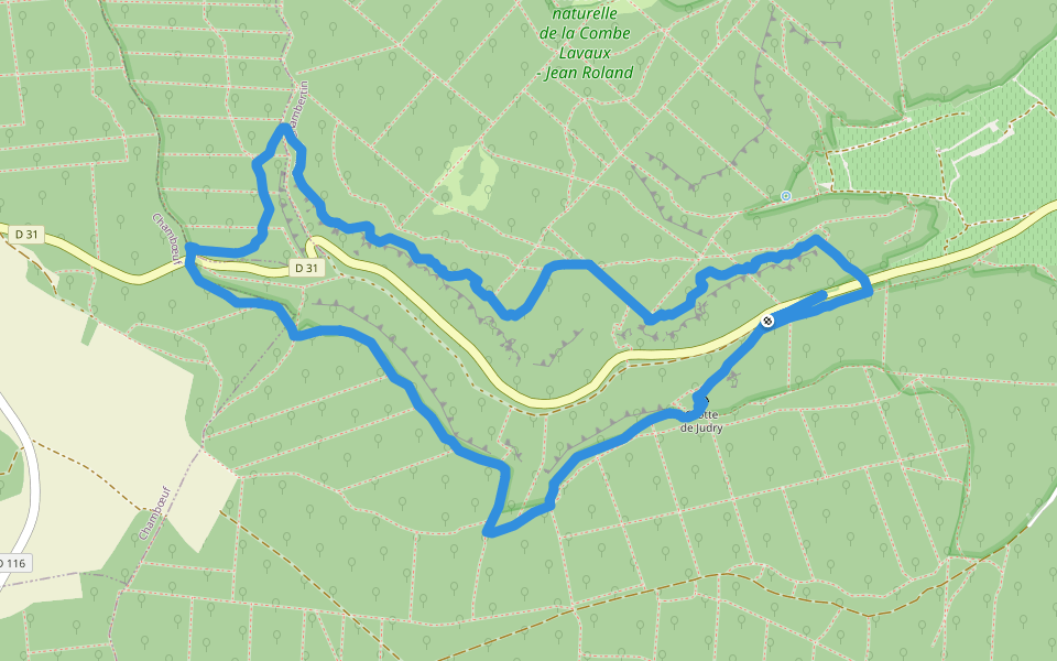 Sentier Bernard Quarteaux walking route map in Gevrey-Chambertin
