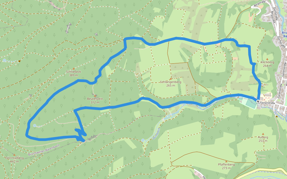 Schlangenberg-Tour walking route map in Bruchweiler-Bärenbach