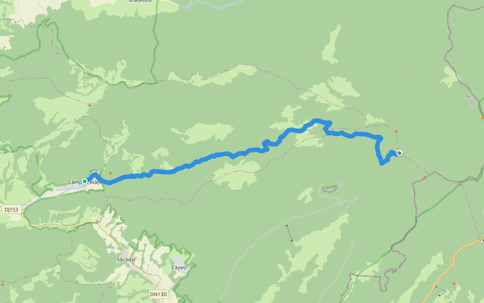 Câmpu Cetății - Valea Nirajul Mic - Vf. Saca Mare walking route map in Câmpu Cetăţii