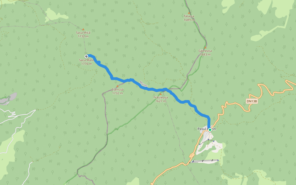 Pasul Bucin - Vf. Saca Mare walking route map in Борсек