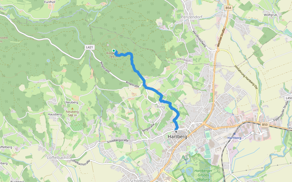 Ringwarte Steinerne Stiege walking route map in Hartberg