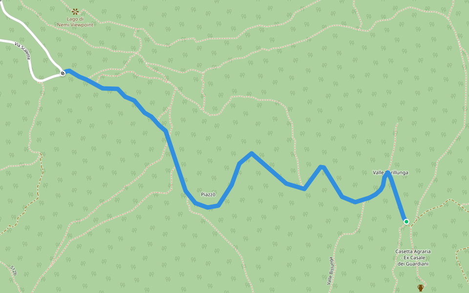 Da Sentiero CAI 516 a via di Monte Cavo
