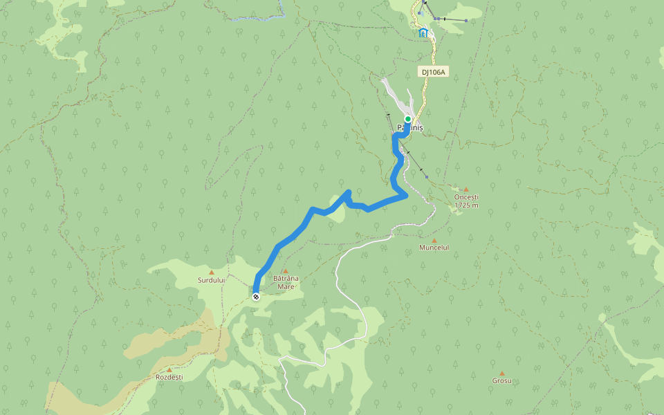Păltiniș - Poiana Găujoara - Șaua Bătrâna walking route map in Păltiniș