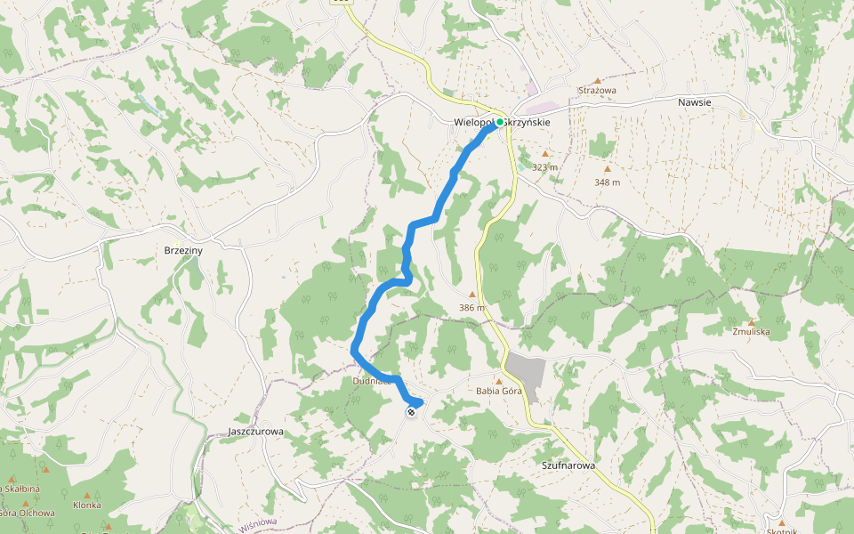 Wielopole - Szufnarowa Pniaki [black] walking route map in Wielopole Skrzyńskie