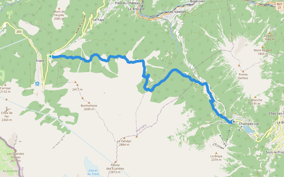 WHR Alt Stage 3.2 Col de la Forclaz – Alp Bovine – Champex walking route map in Trient