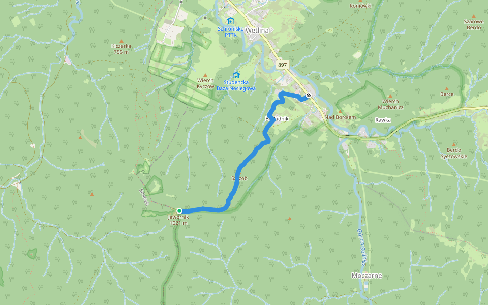 Jawornik - Wetlina walking route map in Wetlina
