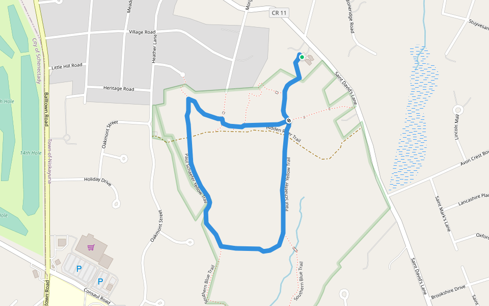 Paul Schaefer Yellow Trail