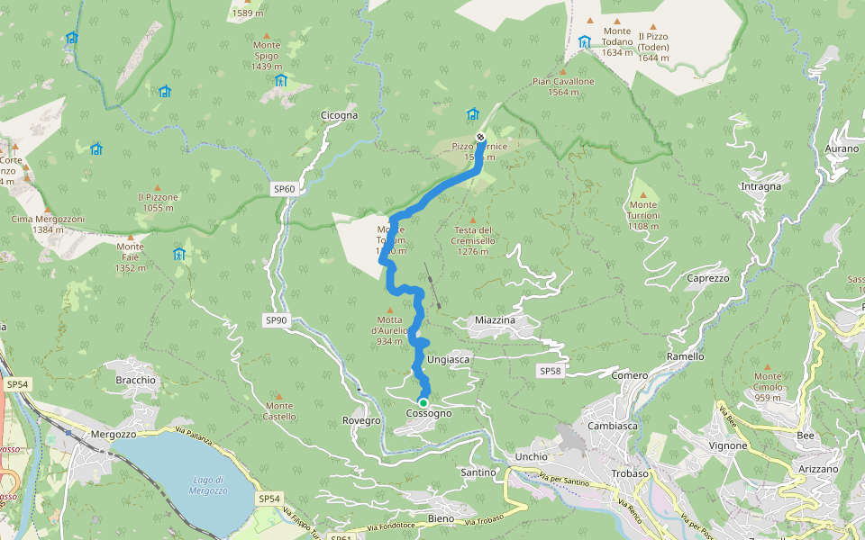 P02 - Cossogno - Pizzo Pernice walking route map in Cossogno
