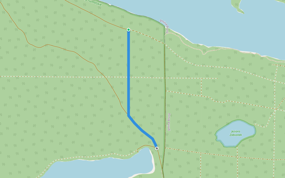 Żółty Szlak Łącznikowy walking route map in Czernica