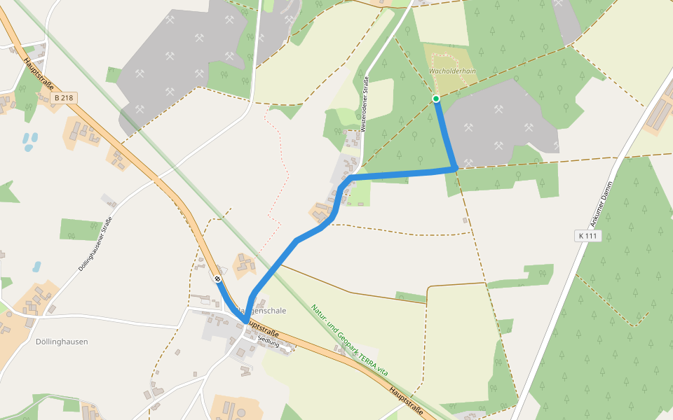 Wacholderhain-Rundwanderweg 1 walking route map in Merzen