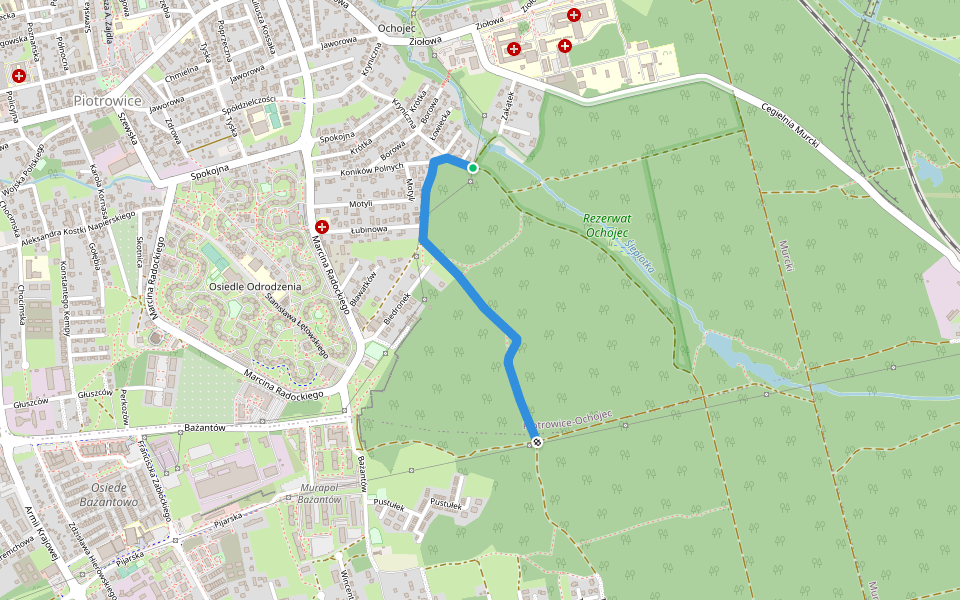Niebieski szlak Ochojec - Kostuchna walking route map in Katowice